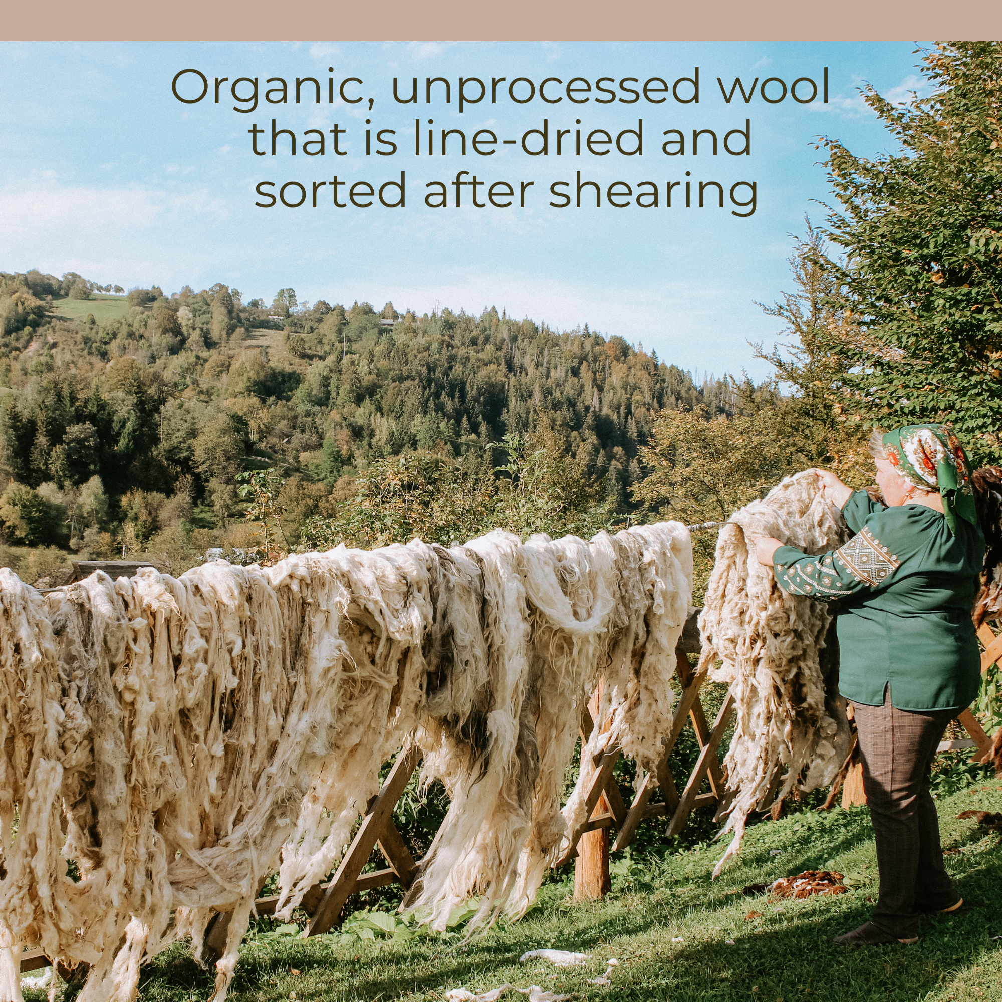 A woman hangs a Chysto (Pure) Wool Statement Bed Blanket to air out on a wooden fence outdoors, with green hills in the background.