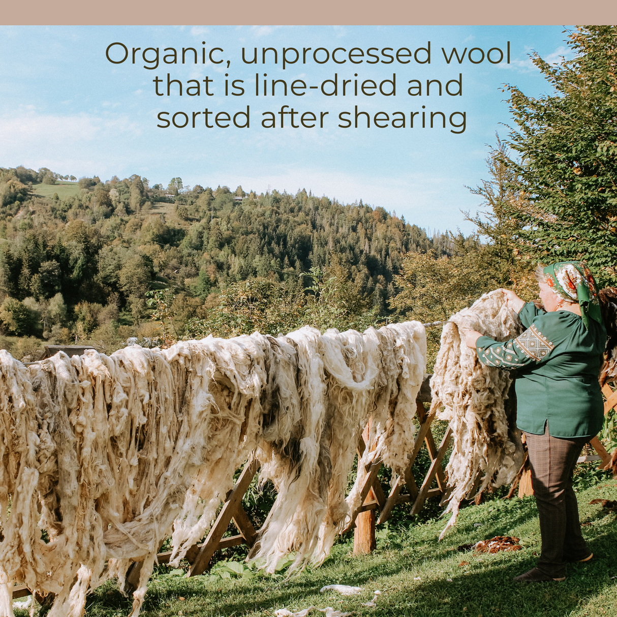 A woman hangs strands of organic 100% sheep wool to dry on a wooden fence, showcasing traditional Ukrainian craftsmanship behind the Handmade Bed Runner from the Carpathian Mountain Collection.
