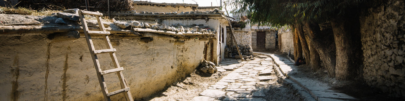 Narrow stone path beside old earthen walls with a wooden ladder leaning and trees casting shadows.