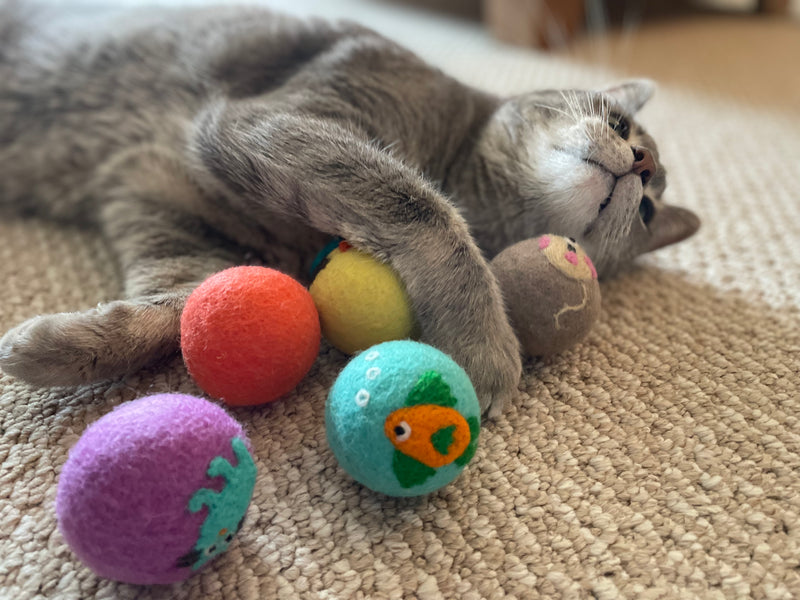 Gray cat lying on carpet, cuddling colorful felt balls decorated with animal designs.