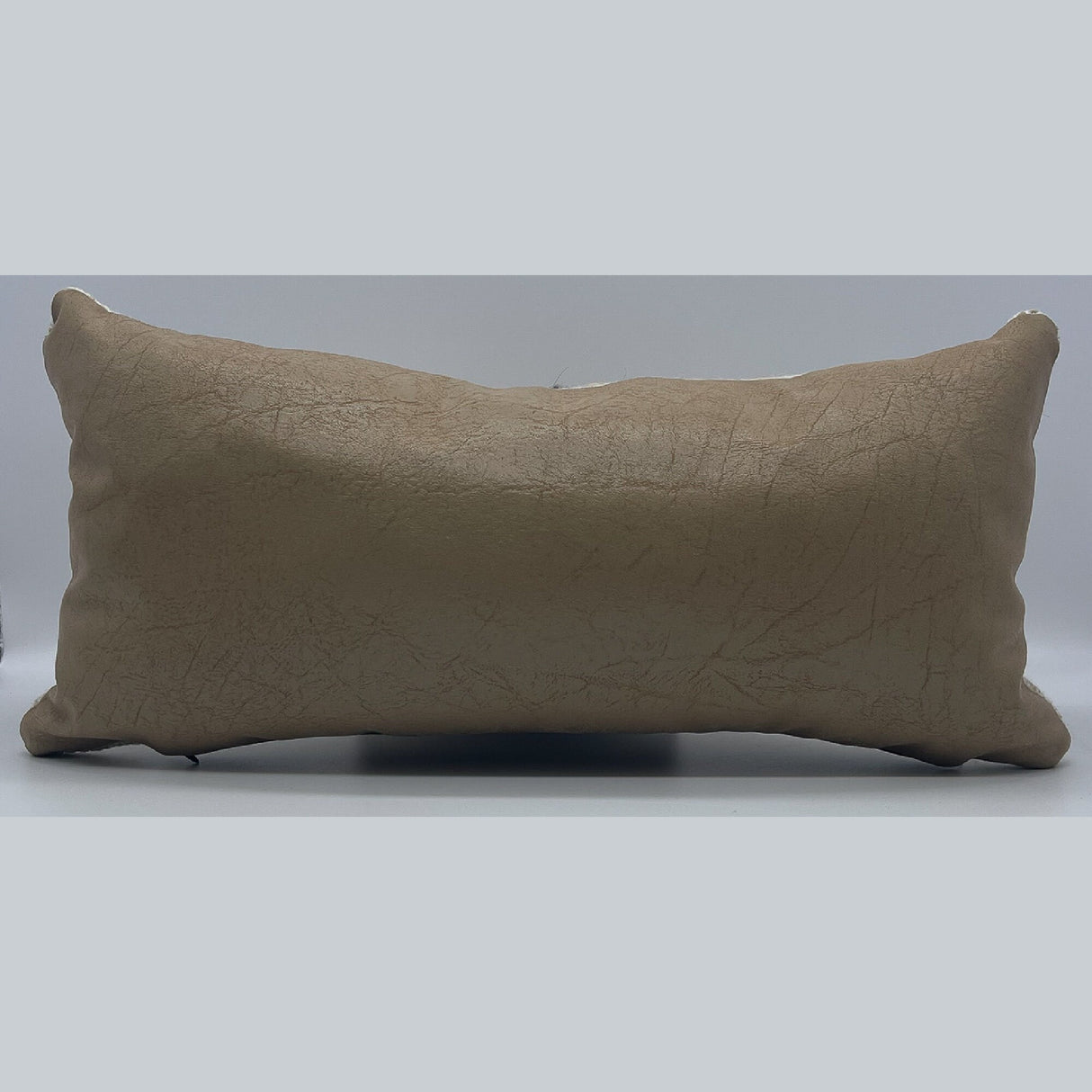 Handwoven Chitki (Crisp) Pillow