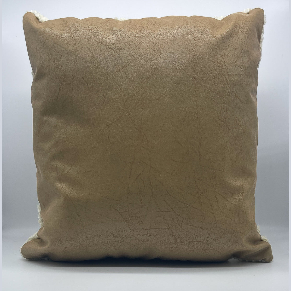 Handwoven Chitki (Crisp) Pillow