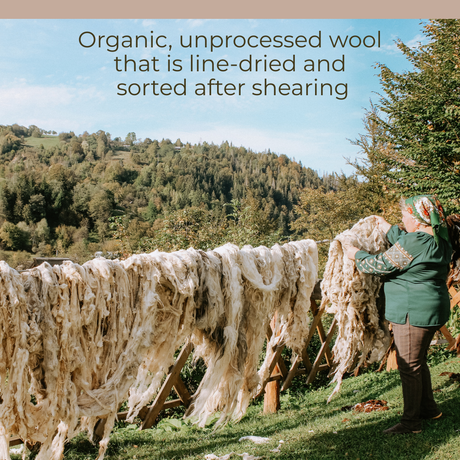 A woman hangs unprocessed wool to dry on a fence before crafting the Tak (Yes) Wool Statement Bed Blanket, with green hills in the background.