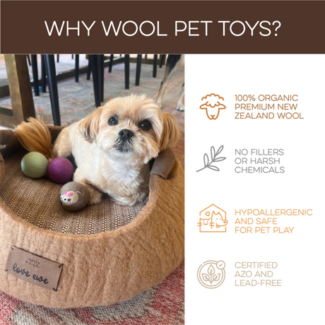 A small dog lounges in a brown pet bed with Love Ewe Handmade Felt Pet Toys—planet-friendly toys for cats, kittens, dogs, and small pets made from natural dye wool in a 3-pack or 2-pack Land Lovers Combo for safety and organic fun.