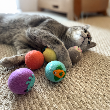 A gray cat lounges on a carpet, playing with Love Ewe Handmade Felt Pet Toys—planet-friendly, naturally dyed, and available in a 3-pack or 2-pack Land Lovers Combo—scattered near its paws.