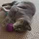 Love Ewe Handmade Felt Pet Toys for Cats, Kittens, Dogs, Small Pets: Planet Friendly, Natural Dye, 3-Pack, By Sea or Sky