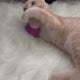 Love Ewe Handmade Felt Pet Toys for Cats, Kittens, Dogs, Small Pets: Planet Friendly, Natural Dye, 3-Pack, Cat / Mouse
