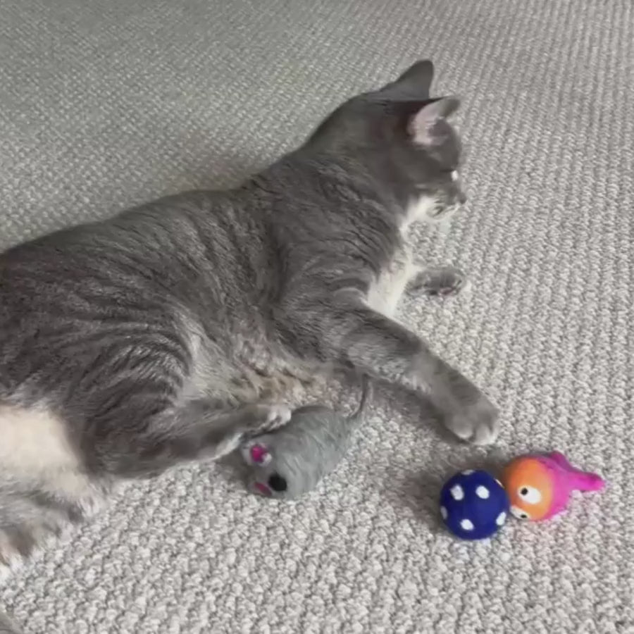 Love Ewe Handmade Felt Pet Toys for Cats, Kittens, Dogs, Small Pets: Roll the Mice